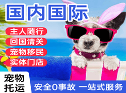 伊尔施机场快运国际宠物托运 【国