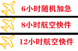 伊尔施机场快运快递公司,专业空运当天件